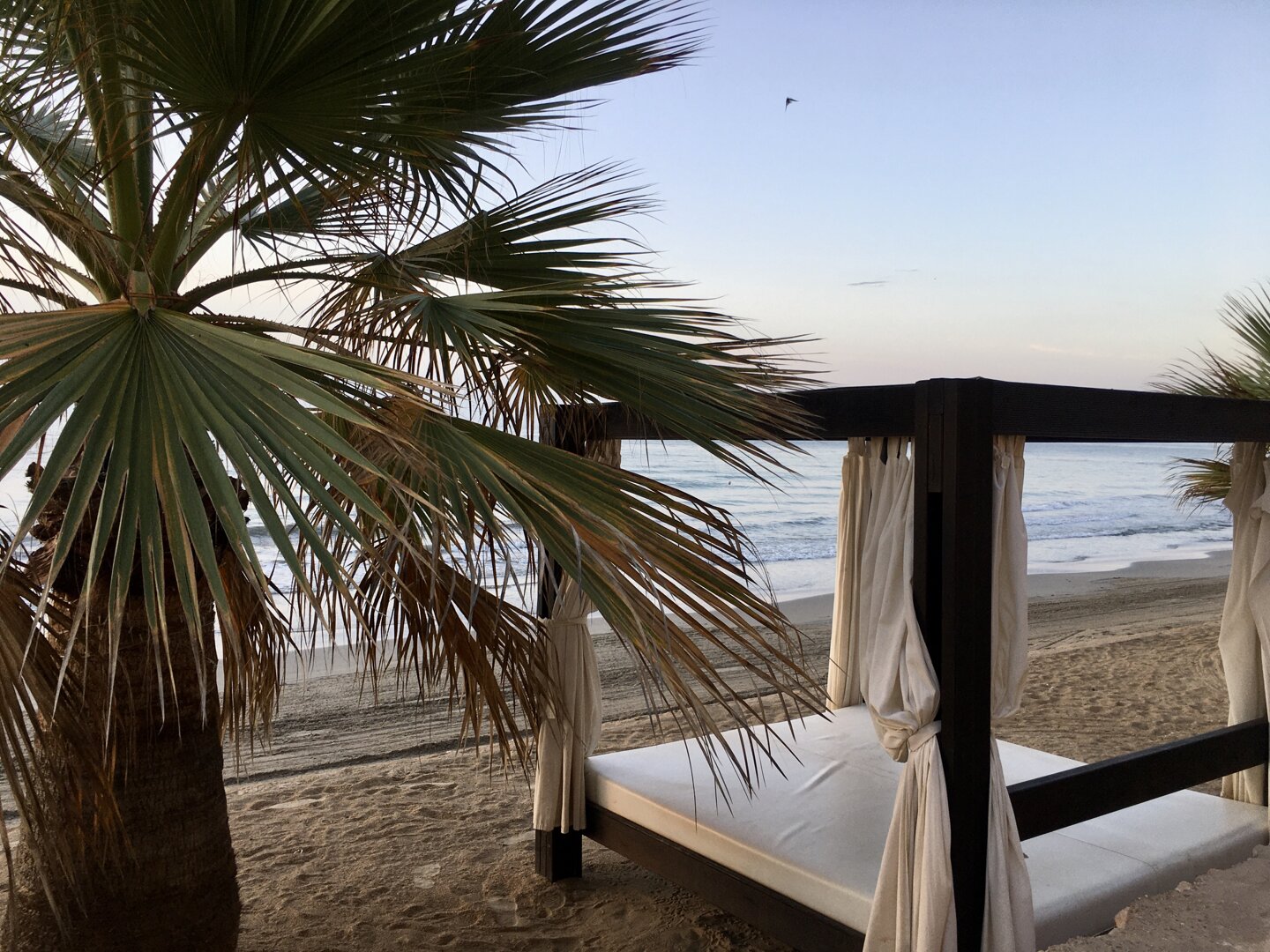 Justa Consulting - 6